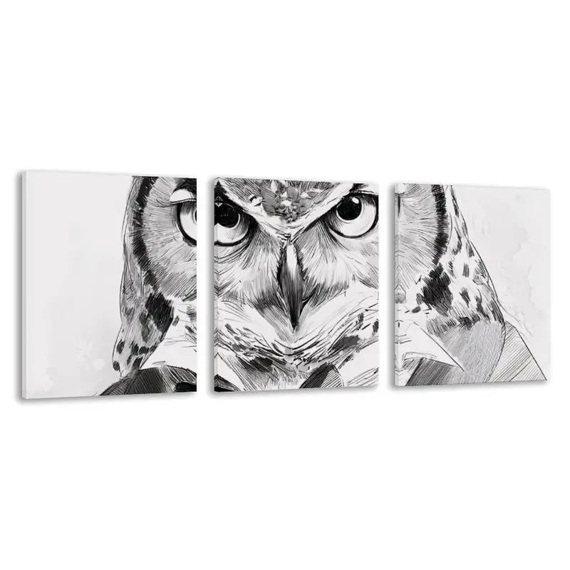3pcs Black and White Owl Design   Wall Art Set Canvas Framed 50x70cm - High Quality Print 100% Australian Made Wall Canvas Ready to Hang - Bella Home Decor