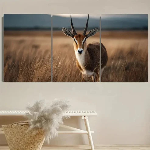 3pcs Farm Style, Ekand Antelope Wall Art Canvas Unframed - High Quality Print 100% Australian Made Wall Canvas - Bella Home Decor