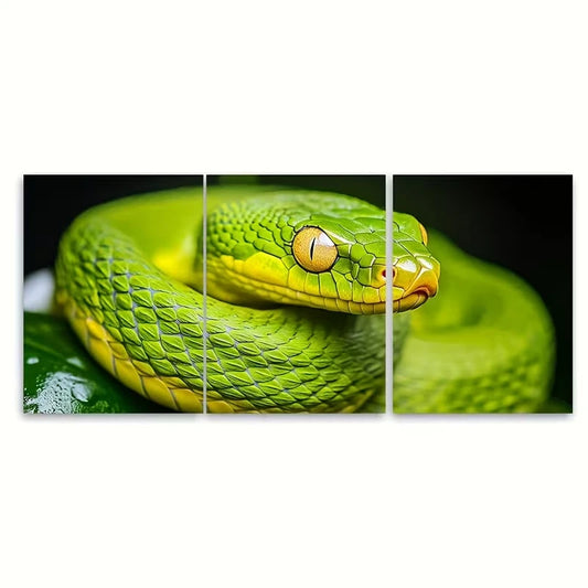 3pcs Striking Green Snake Close Up Exotic Wildlife Metal Print Ready to Hang Art