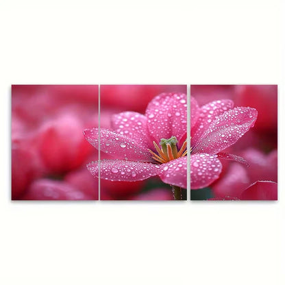 3pcs Vibrant Magenta Tulip Macro Water Droplets Wall Art Set Canvas Framed 40x60cm - High Quality Print 100% Australian Made Wall Canvas Ready to Hang