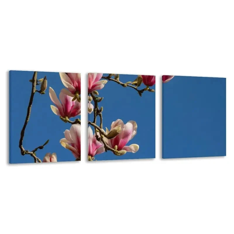 3pcs Pink & White Magnolia Branches on Blue Sky Wall Art Set Canvas Framed 40x60cm - High Quality Print 100% Australian Made Wall Canvas Ready to Hang