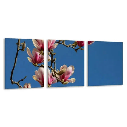 3pcs Pink & White Magnolia Branches on Blue Sky Wall Art Set Canvas Framed 40x60cm - High Quality Print 100% Australian Made Wall Canvas Ready to Hang