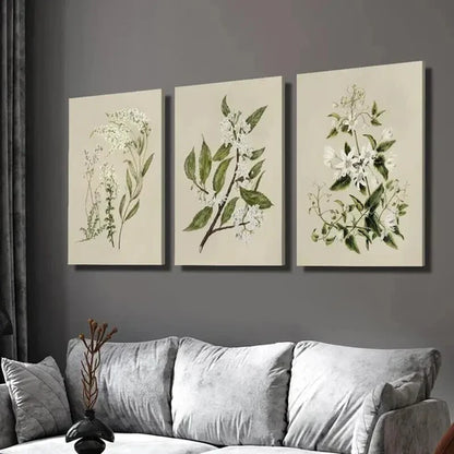 3pcs Vintage Floral Botanical Clematis  Wall Art Set Canvas Unframed - High Quality Print 100% Australian Made Wall Canvas