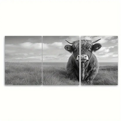 3pcs Black & White Rustic Scottish Highland Bull Wall Art Set Canvas Framed 60x90cm - High Quality Print 100% Australian Made Wall Canvas Ready to Hang - Bella Home Decor