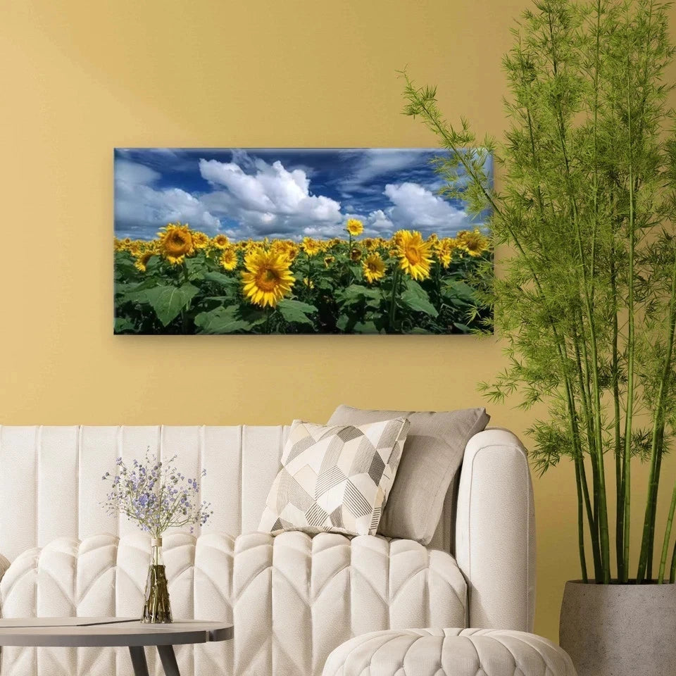 Vibrant Sunflower Field Blue SkyWall Art Canvas Office Home Room Framed 120x60cm