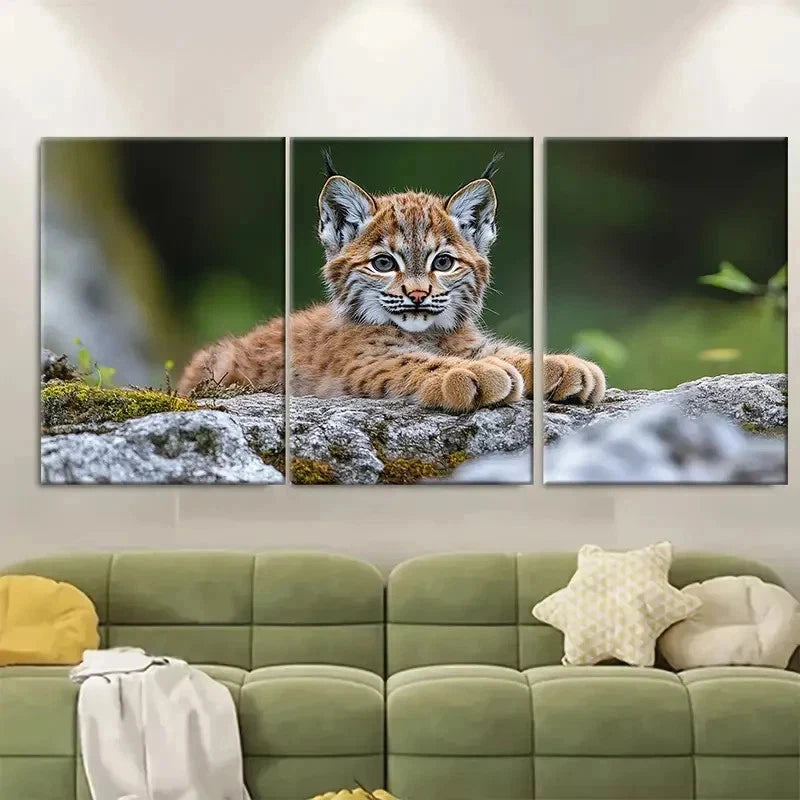 3pcs Curious Lynx Cub Wild Animal RY  Wall Art Set Canvas Framed 40x60cm - High Quality Print 100% Australian Made Wall Canvas Ready to Hang - Bella Home Decor