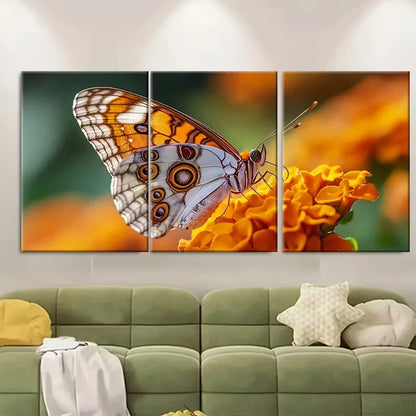 3pcs Macro Butterfly Moth Metal Print Ready to Hang Art