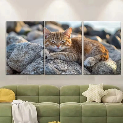 3pcs Seaside Adventure Cat on Rocks Wall Art Set Canvas Framed 40x60cm - High Quality Print 100% Australian Made Wall Canvas Ready to Hang