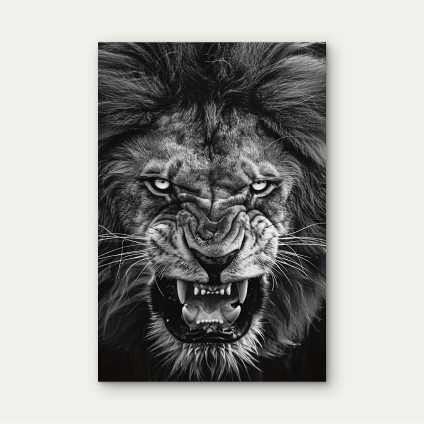 Fierce Black & White Lion Gaze Metal Print Ready to Hang