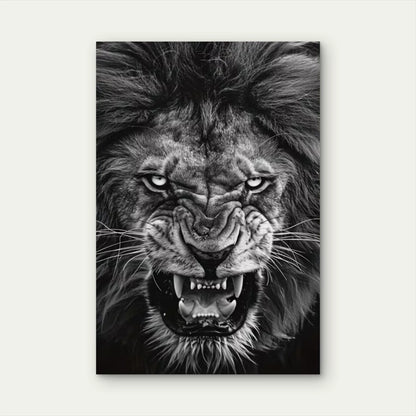 Fierce Black & White Lion Gaze Metal Print Ready to Hang