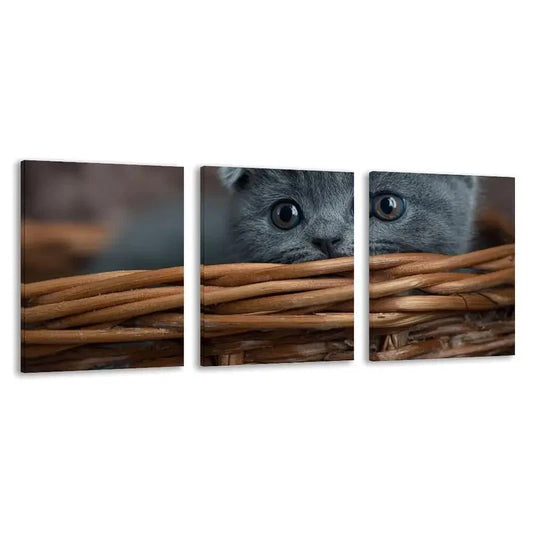 3pcs A Tiny Kitten Peeks From Basket Wall Art Set Canvas Framed 50x70cm - High Quality Print 100% Australian Made Wall Canvas Ready to Hang