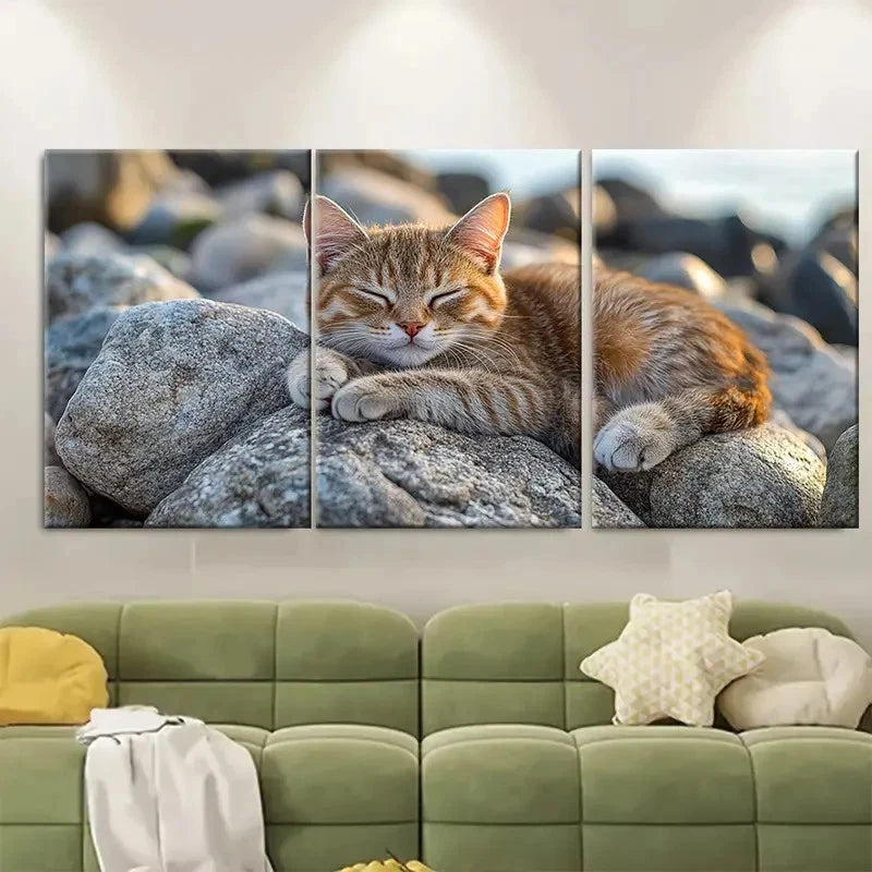 3pcs Seaside Adventure Cat on Rocks TI  Wall Art Set Canvas Framed 60x90cm - High Quality Print 100% Australian Made Wall Canvas Ready to Hang - Bella Home Decor