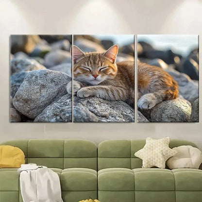3pcs Seaside Adventure Cat on Rocks TI  Wall Art Set Canvas Framed 60x90cm - High Quality Print 100% Australian Made Wall Canvas Ready to Hang - Bella Home Decor