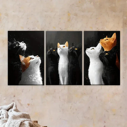 3pcs three cats looking up at the sky Wall Art Set Canvas Framed 40x60cm - High Quality Print 100% Australian Made Wall Canvas Ready to Hang - Bella Home Decor