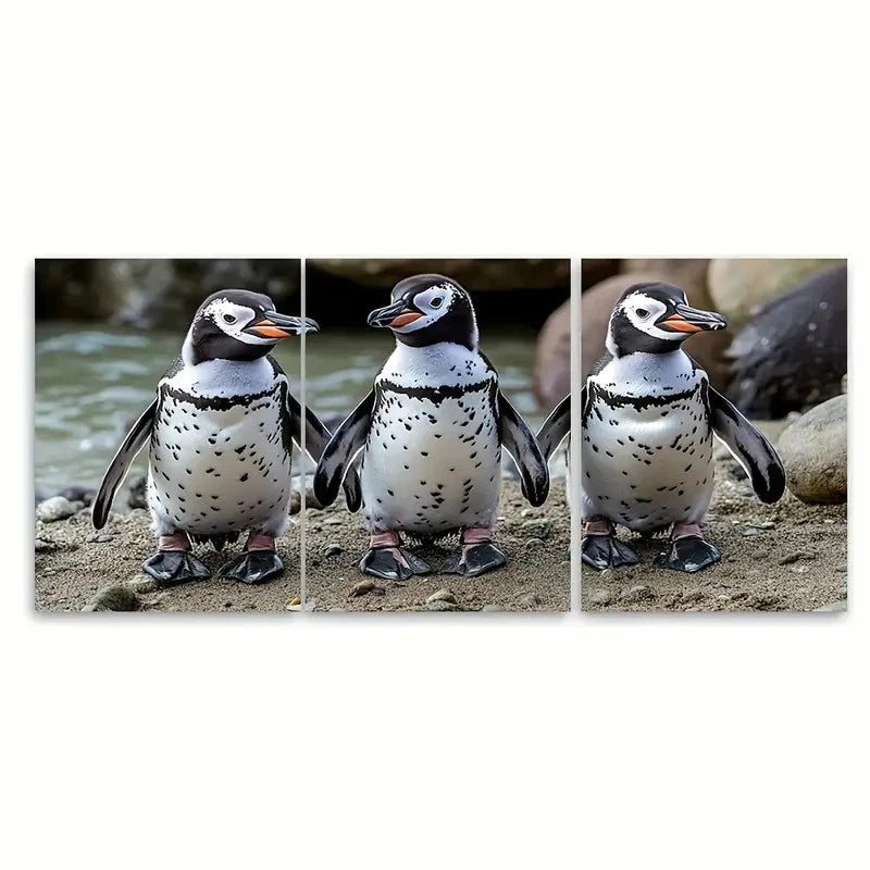 3pcs Curious African Penguins Metal Print Ready to Hang Art - Bella Home Decor