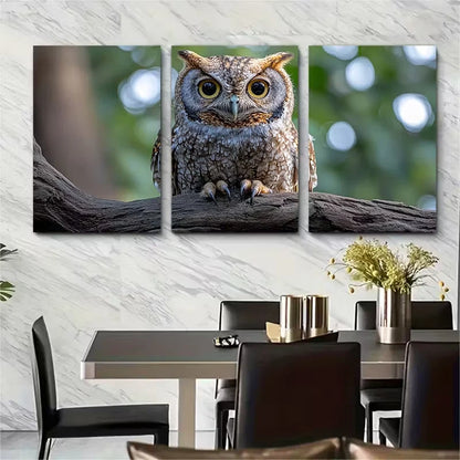 3pcs Realistic Eastern Screech Owl Metal Print Ready to Hang Art