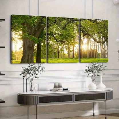 3pcs sunshine & Green Shade Nature Triptych Canvas Framed 50x70cm - High Quality Print 100% Australian Made Wall Canvas Ready to Hang