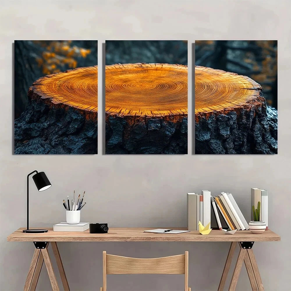 3pcs Tree Ring Vibrant Orange Tree Rings Metal Print Ready to Hang Art - Bella Home Decor