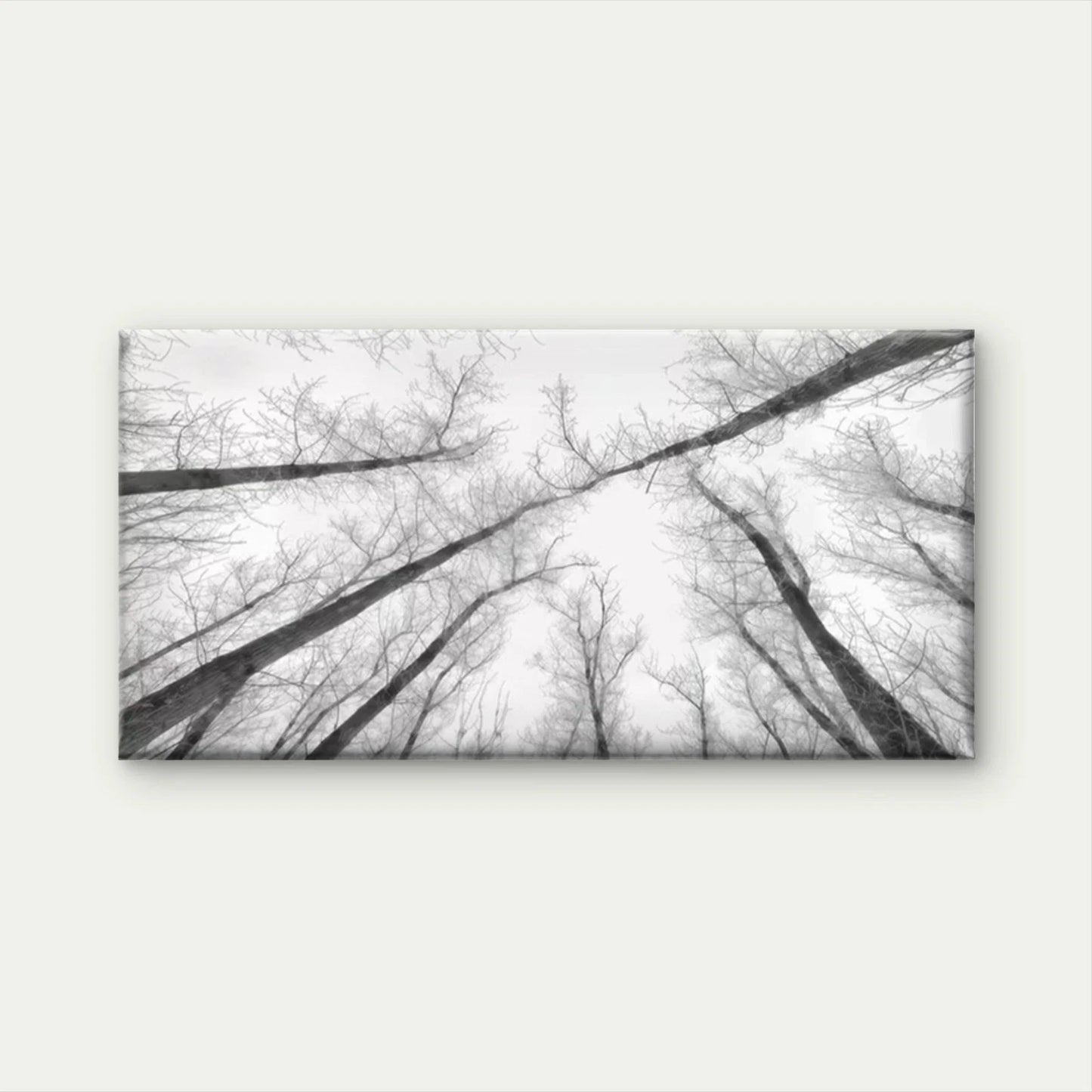 Black and White Winter Forest Wall Art Canvas Office Home Room Framed 120x60cm
