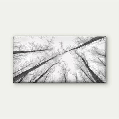 Black and White Winter Forest Wall Art Canvas Office Home Room Framed 120x60cm