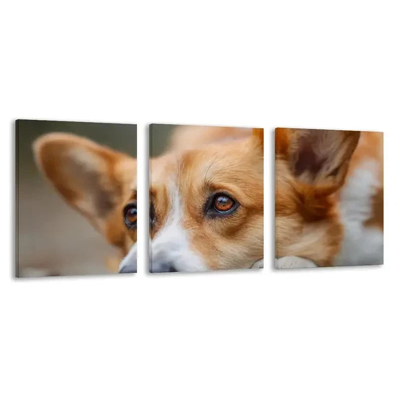 3pcs Adorable Welsh Corgi Dog Ground & Eyes  Wall Art Set Canvas Framed 60x90cm - High Quality Print 100% Australian Made Wall Canvas Ready to Hang - Bella Home Decor
