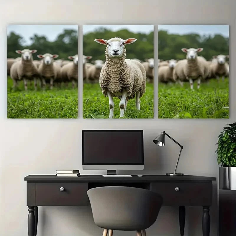 3pcs Sheep Flock Nature Photography Wall Art Set Canvas Framed 50x70cm - High Quality Print 100% Australian Made Wall Canvas Ready to Hang