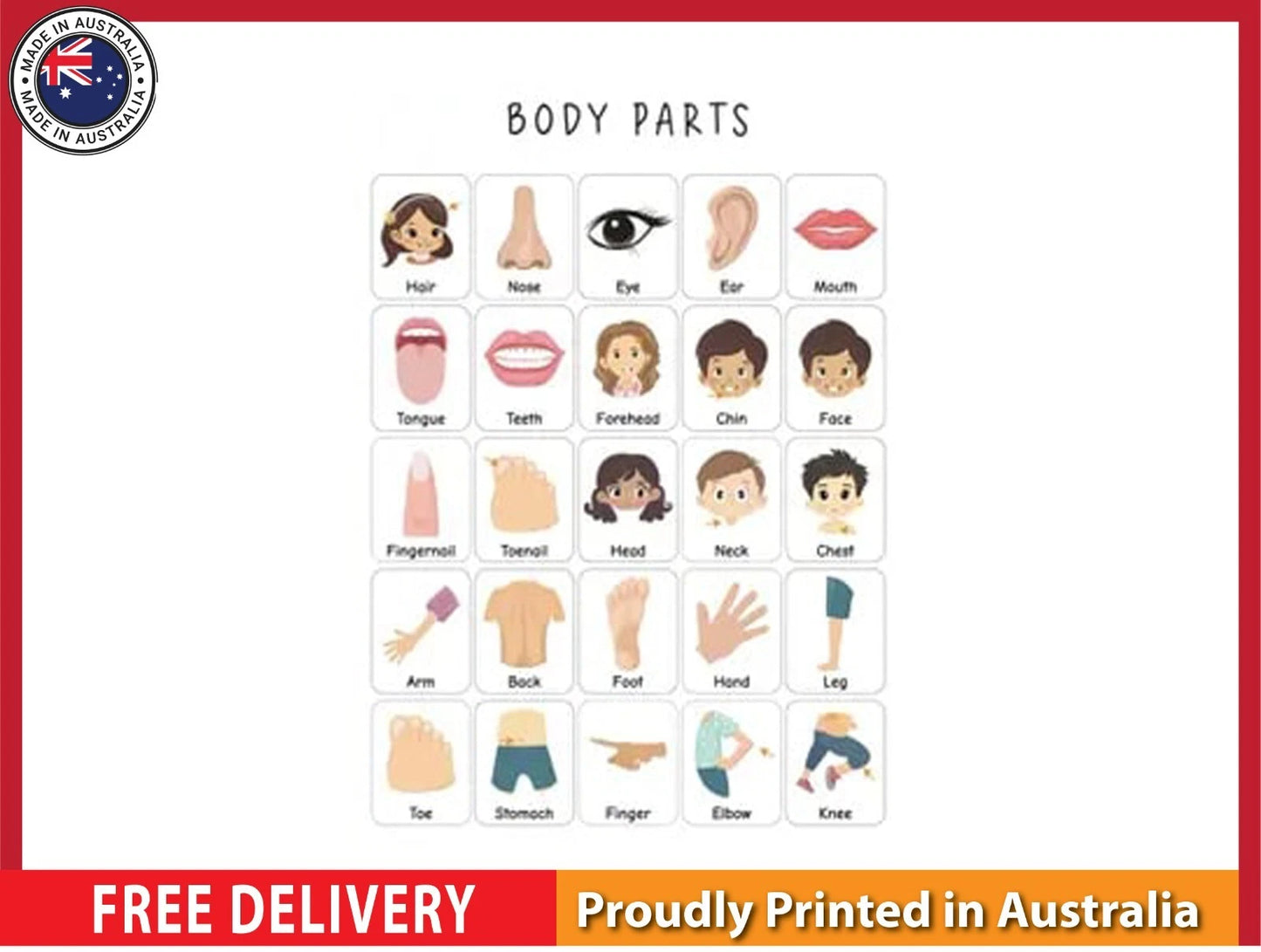 NEW (LAMINATED) Body Parts (61X91CM) Educational CHART PICTURE PRINT