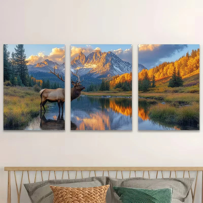 3pcs Rocky Mountain National Park Majestic Elk  Wall Art Set Canvas Framed 40x60cm - High Quality Print 100% Australian Made Wall Canvas Ready to Hang