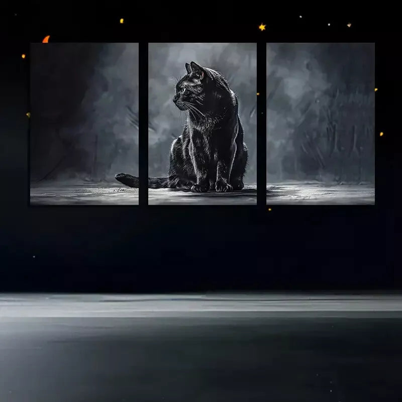 3pcsBlack Cat In Dark Background Wall Art Set Canvas Framed 50x70cm - High Quality Print 100% Australian Made Wall Canvas Ready to Hang