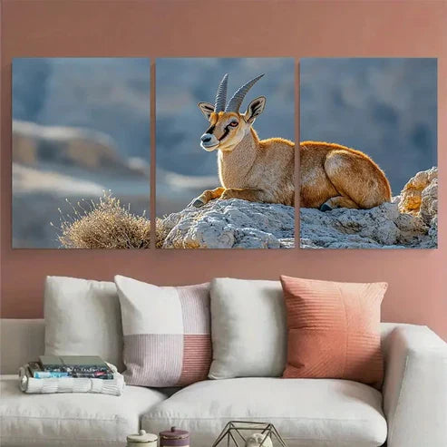 3pcs Nubian Ibex on Makhtesh Ramon Cliffs Wildlife Wall Art Set Canvas Unframed - High Quality Print 100% Australian Made Wall Canvas