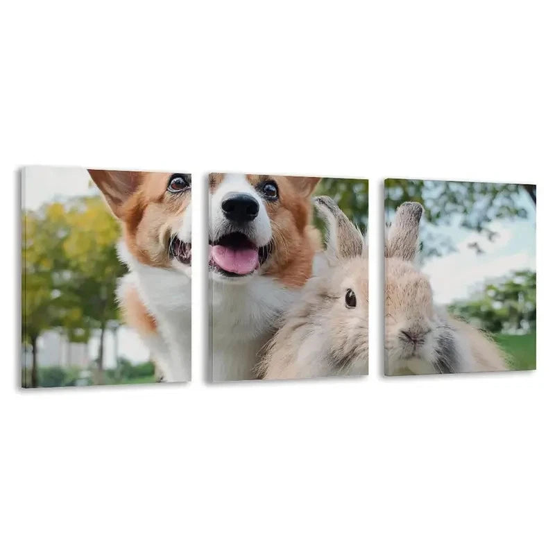 3pcs Adorable Corgi & Rabbit Smiling Design    Wall Art Set Canvas Framed 50x70cm - High Quality Print 100% Australian Made Wall Canvas Ready to Hang - Bella Home Decor