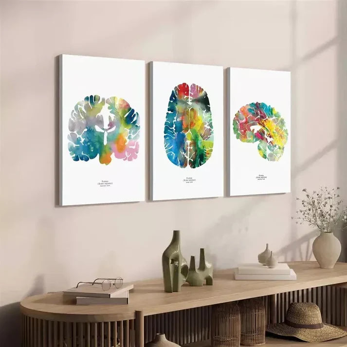 3pcs Neurology & Psychology Wall Art Canvas Unframed - High Quality Print 100% Australian Made Wall Canvas