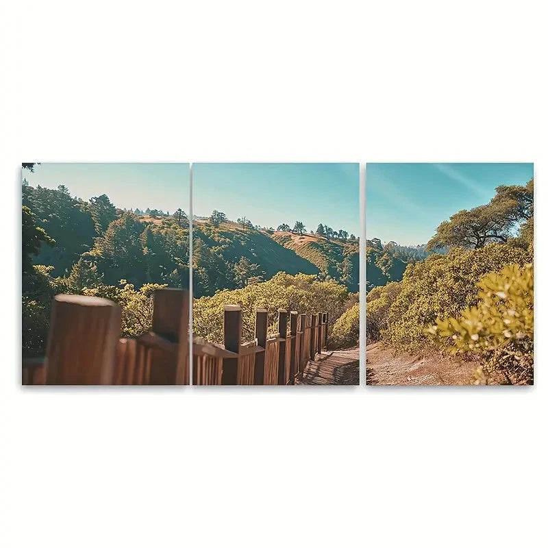 3pcs Muir Woods National Monument Travel Wall Art Set Canvas Framed 40x60cm - High Quality Print 100% Australian Made Wall Canvas Ready to Hang