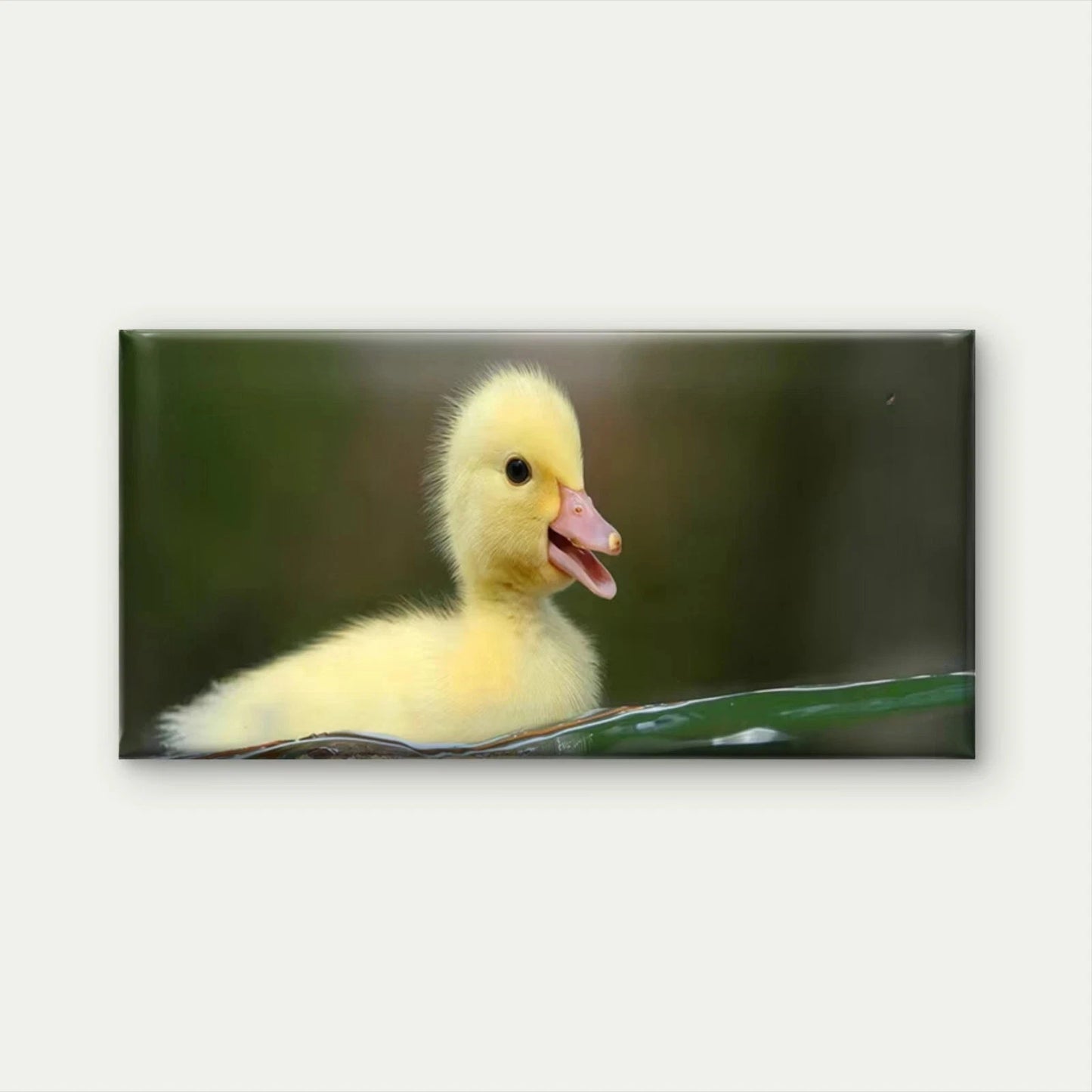 Cute Yellow Duckling in Water Wall Art Canvas Office Home Room Framed 120x60cm