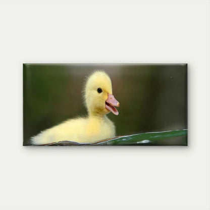 Cute Yellow Duckling in Water Wall Art Canvas Office Home Room Framed 120x60cm
