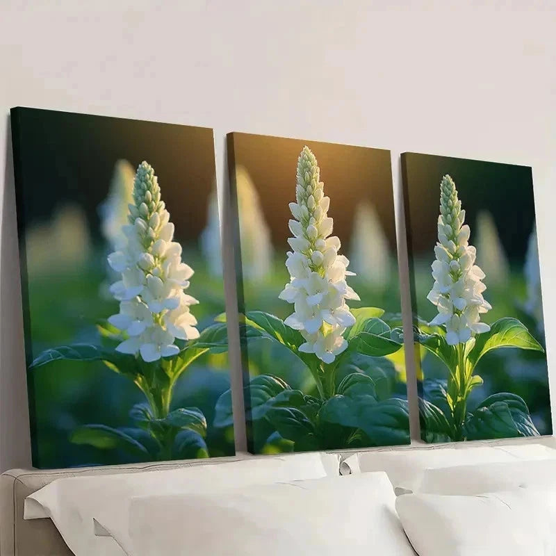 3pcs White Basil Flower Canvas Print SR   Wall Art Set Canvas Framed 50x70cm - High Quality Print 100% Australian Made Wall Canvas Ready to Hang - Bella Home Decor