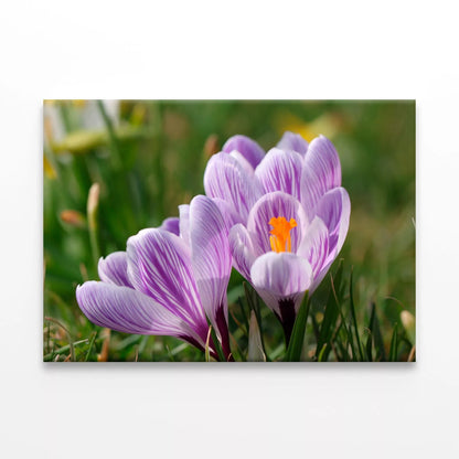 Spring Growing Flowers And Nature Wall Art Decor 100% Australian Made - Bella Home Decor