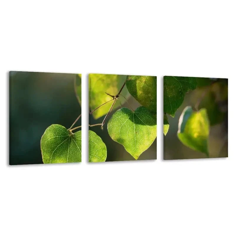 3pcs Sunlight Through The Leaves Of A Tree  Wall Art Set Canvas Framed 40x60cm - High Quality Print 100% Australian Made Wall Canvas Ready to Hang