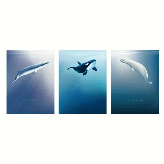 3pcs Sea Life White Black Blue Whale Animal Metal Print Ready to Hang Art