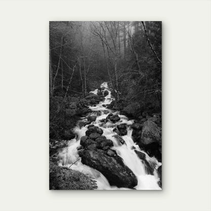 River In Forest Rocky Terrain 60x90cm Metal Print Ready to Hang