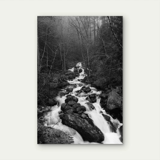 River In Forest Rocky Terrain 60x90cm Metal Print Ready to Hang