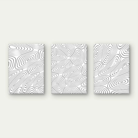 3pcs Black and White Topographic Minimalist Wall Art Set Canvas Framed 40x60cm - High Quality Print 100% Australian Made Wall Canvas Ready to Hang