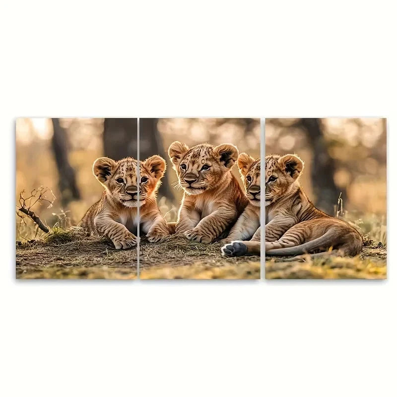 3pcs Lion Cubs Playing Together Wildlife Wall Art Set Canvas Framed 50x70cm - High Quality Print 100% Australian Made Wall Canvas Ready to Hang