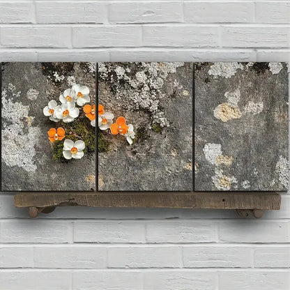 3pcs Colourful Flowers on The Cement Metal Print Ready to Hang Art - Bella Home Decor