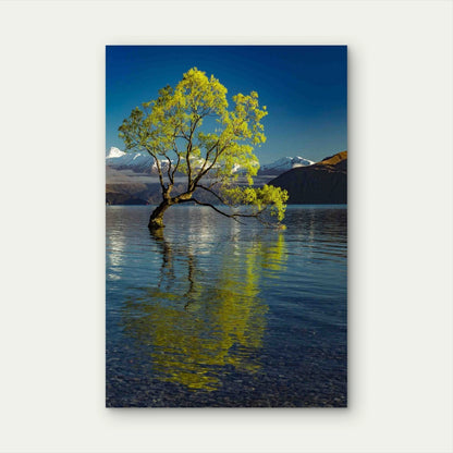 Lonely Tree Lake Wanaka Snowy Buchanan Peaks 60x90cm Metal Print Ready to Hang