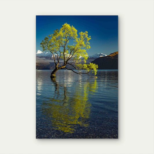 Lonely Tree Lake Wanaka Snowy Buchanan Peaks 60x90cm Metal Print Ready to Hang