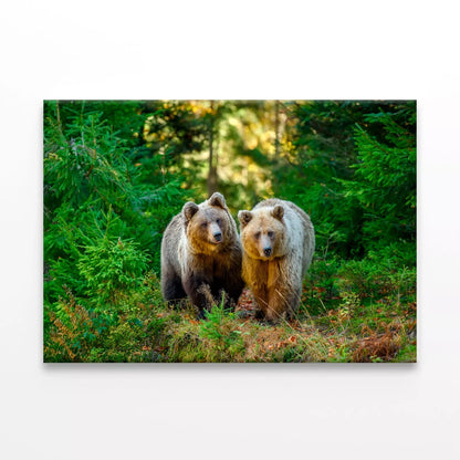 Two Big Brown Bear In Forest Wall Art Decor 100% Australian Made - Bella Home Decor