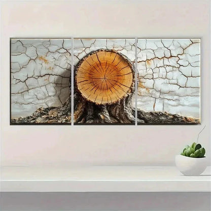 3pcs Tree Rings Abstract White  Wall Art Set Canvas Framed 50x70cm - High Quality Print 100% Australian Made Wall Canvas Ready to Hang