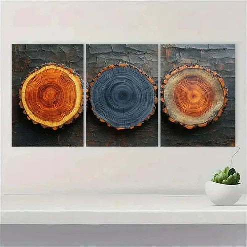 3pcs Set Wood Tree Rings Illustrations Wall Art Set Canvas Unframed - High Quality Print 100% Australian Made Wall Canvas