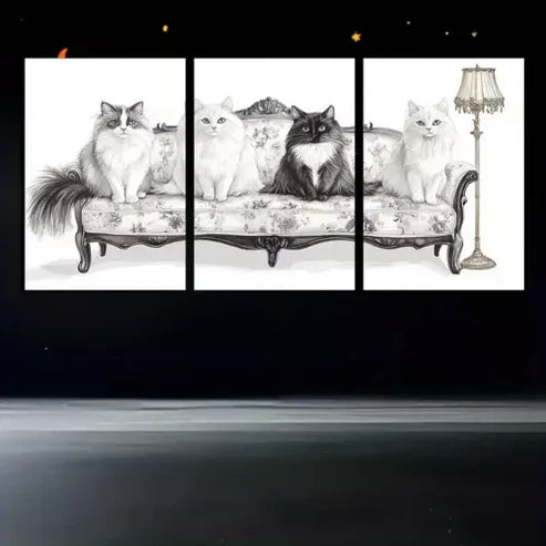 3pcs Black & White Cats Art Canvas Unframed - High Quality Print 100% Australian Made Wall Canvas - Bella Home Decor